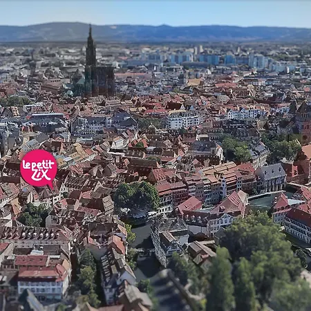 Le Petit Zix - Cosy Et Terrasse, Petite France Apartamento *