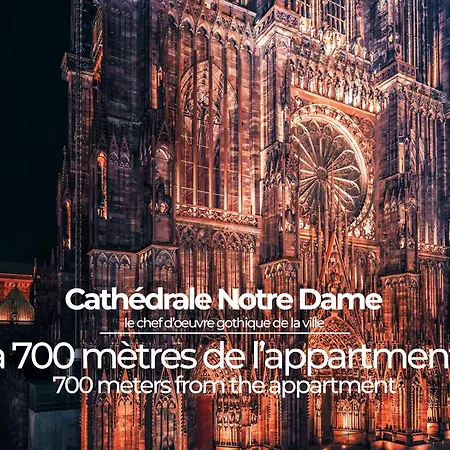 Le Petit Zix - Cosy Et Terrasse, Petite France *