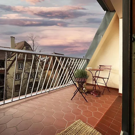 Le Petit Zix - Cosy Et Terrasse, Petite France Apartment *