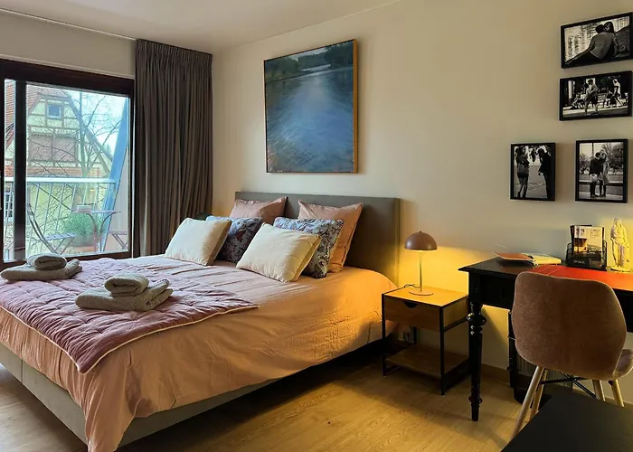 Le Petit Zix - Cosy Et Terrasse, Petite France Апартаменты *