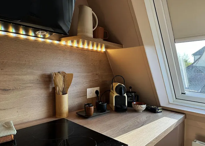 Le Petit Zix - Cosy Et Terrasse, Petite France * 斯特拉斯堡