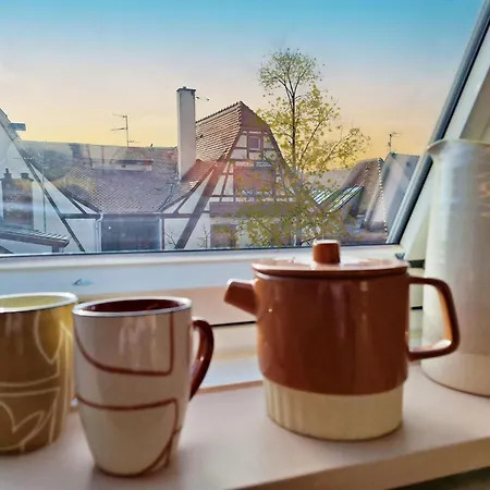 公寓 Le Petit Zix - Cosy Et Terrasse, Petite France *