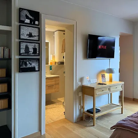 Le Petit Zix - Cosy Et Terrasse, Petite France 斯特拉斯堡