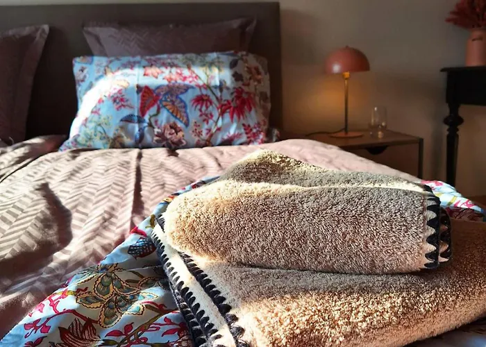 Appartement Le Petit Zix - Cosy Et Terrasse, Petite France *