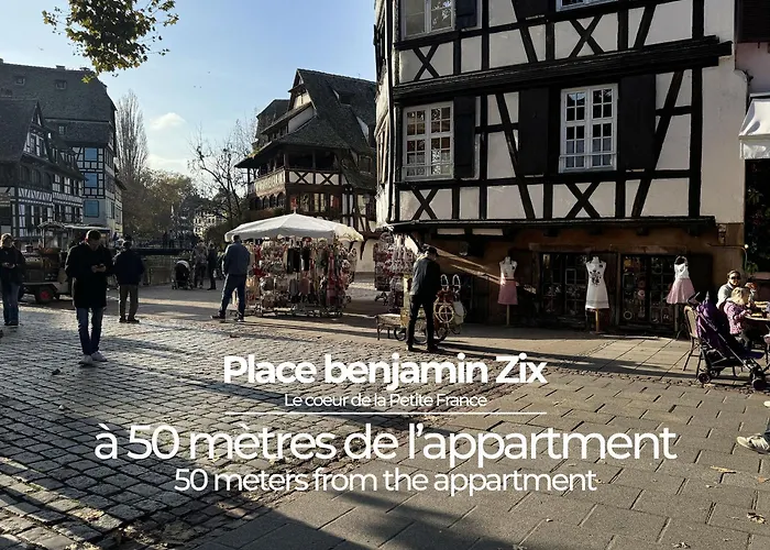 Appartement Le Petit Zix - Cosy Et Terrasse, Petite France Strasbourg